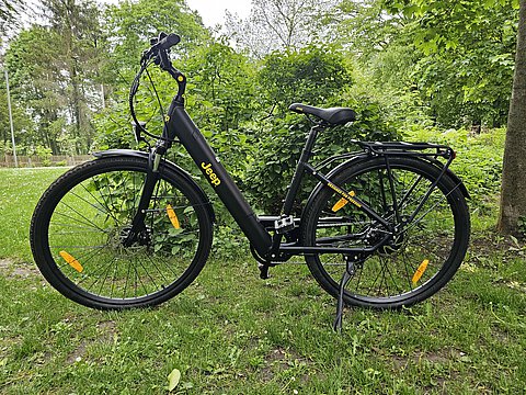 Damen E-bike in Wernigerode/Harz ausleihen