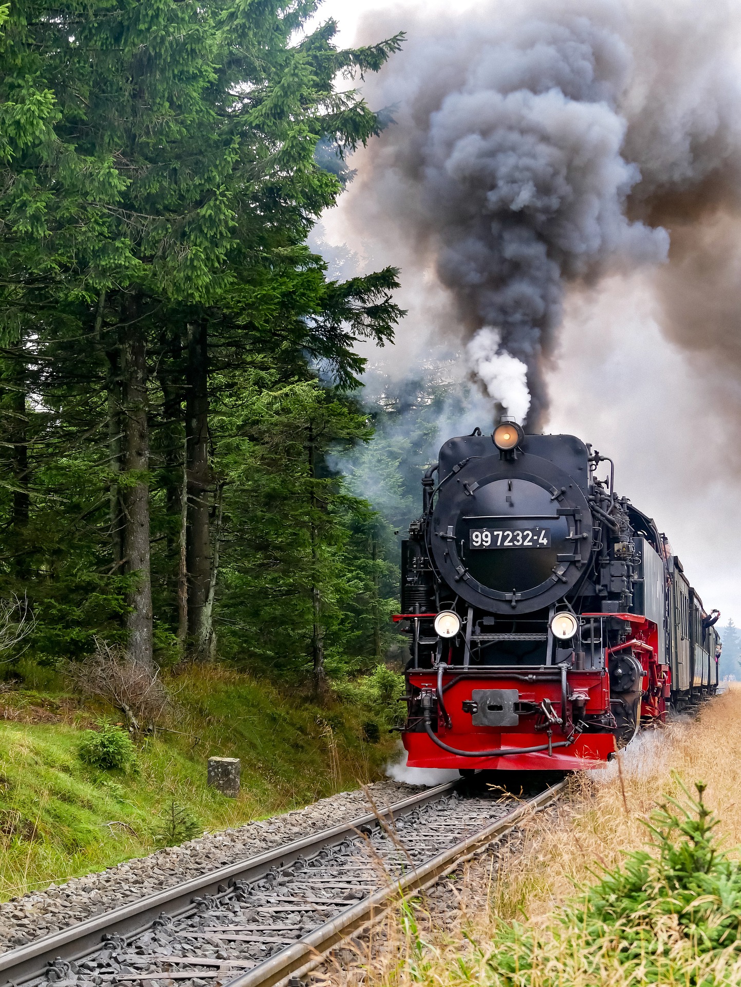 Dampflok der Harzer Schmalspurbahn während der Fahrt